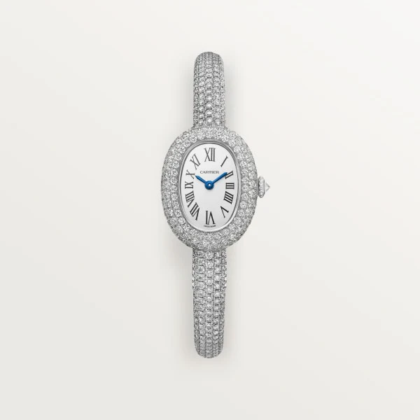 Cartier Panthere de Cartier watch hpi01721
