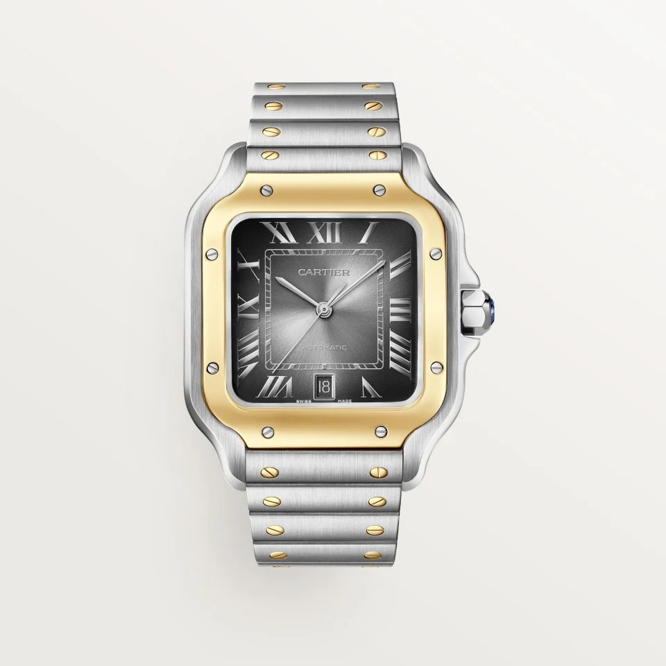 Cartier Santos de Cartier w2sa0030 Automatic 47.5mm Men Unisex Watch