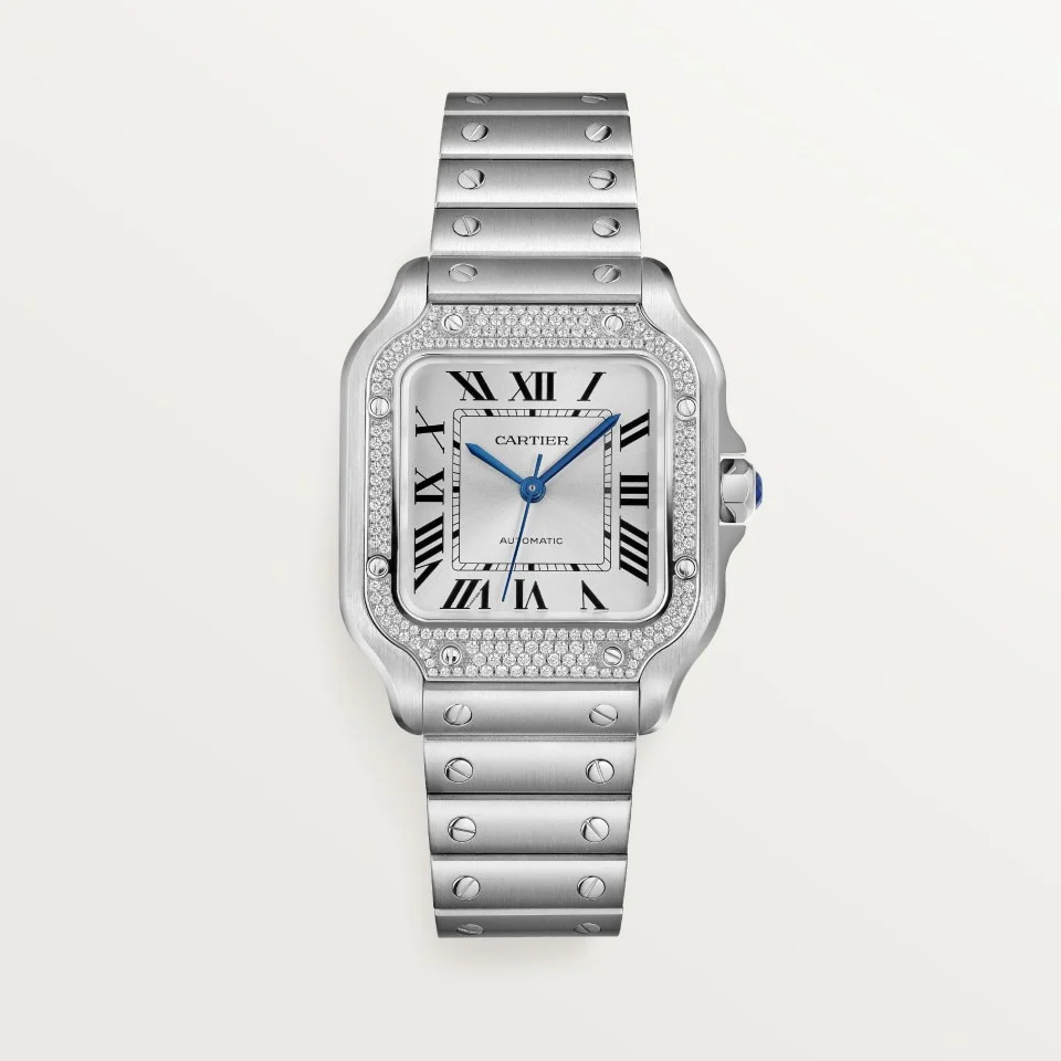 Cartier Santos de Cartier w4sa0005 Automatic 41.9mm Men Unisex Watch