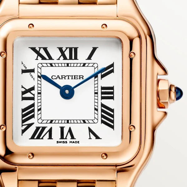 Cartier Panthere de Cartier watch wgpn0060 - Image 10
