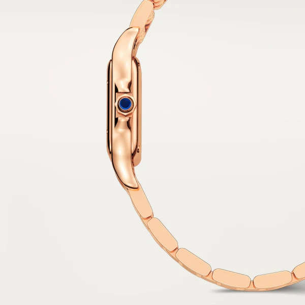 Cartier Panthere de Cartier watch wgpn0060 - Image 6