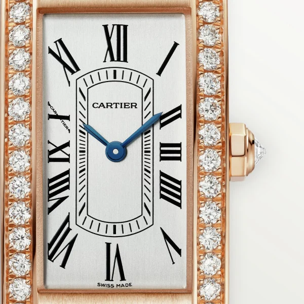 Cartier Santos de Cartier watch wgsa0019 - Image 2