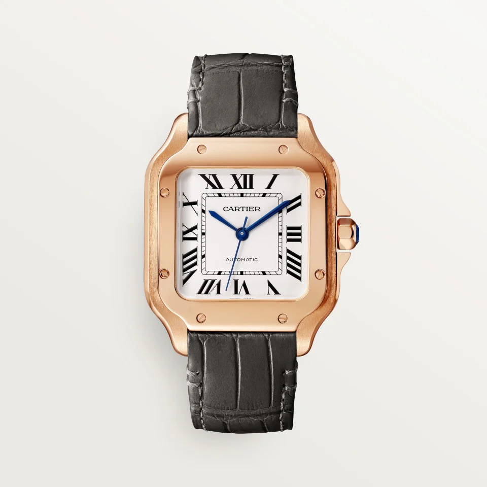 Cartier Santos de Cartier wgsa0028 Automatic 41.9mm Men Unisex Watch