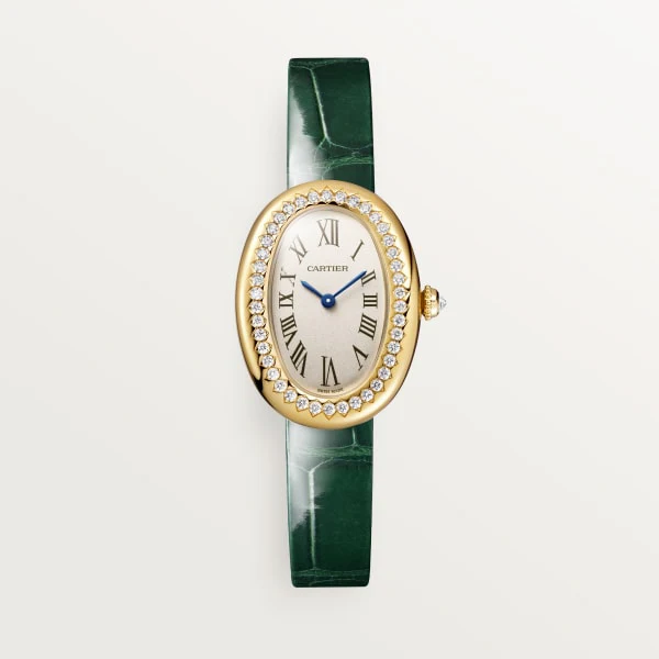 Cartier Santos de Cartier watch wgsa0029