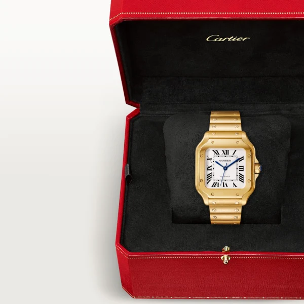 Cartier Santos de Cartier watch wgsa0030 - Image 8