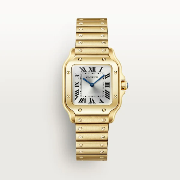 Cartier Santos de Cartier watch wgsa0107