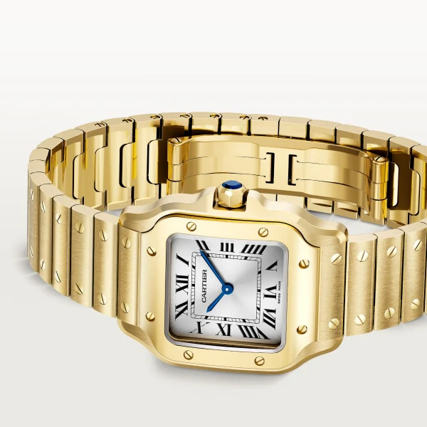 Cartier Santos de Cartier watch wgsa0107 - Image 4
