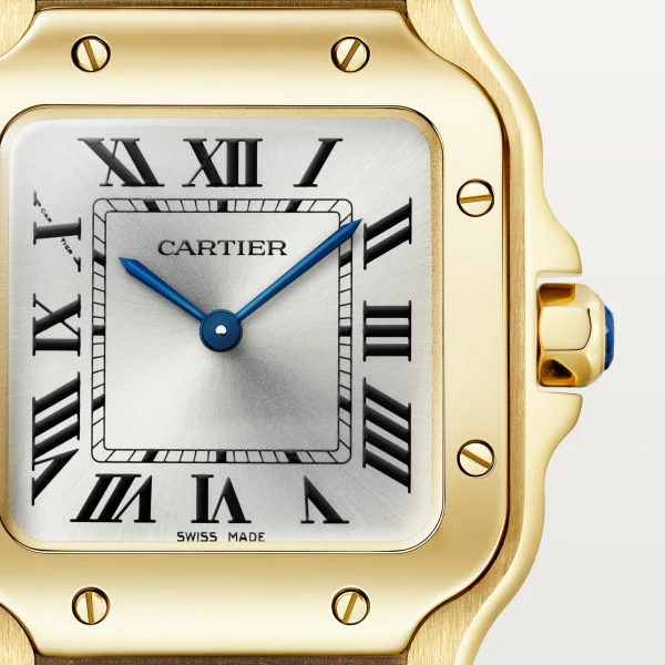 Cartier Santos de Cartier watch wgsa0107 - Image 5
