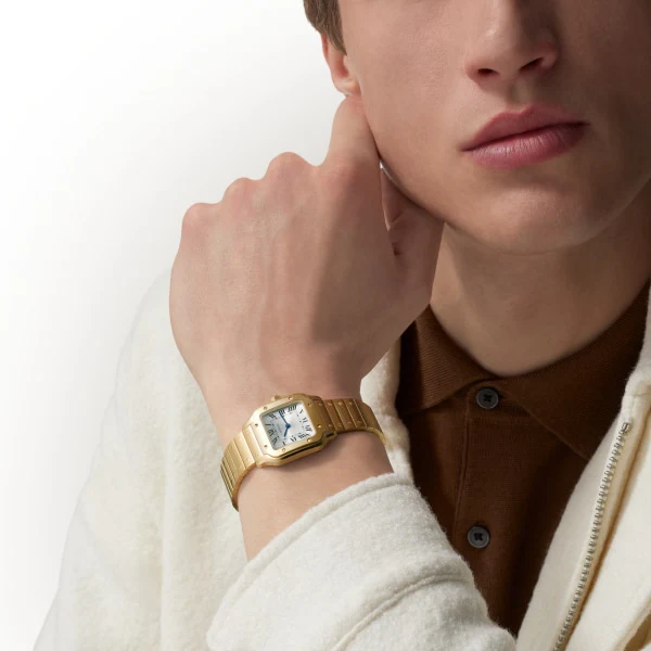 Cartier Santos de Cartier watch wgsa0107 - Image 9