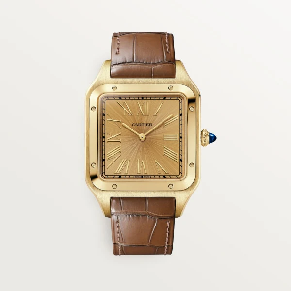 Cartier Santos de Cartier watch wgsa0111