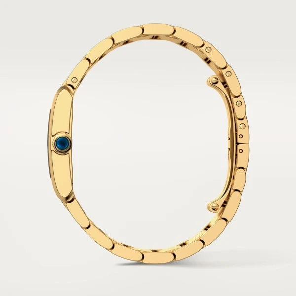 Cartier Santos de Cartier watch wgsa0116 - Image 3