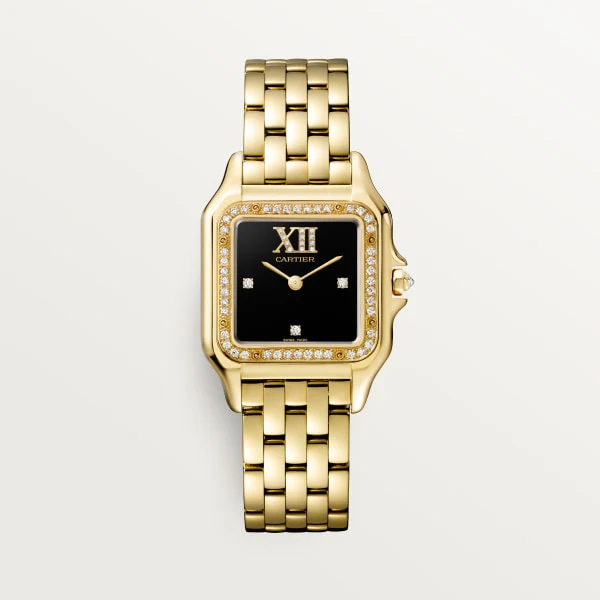 Cartier Santos de Cartier watch wgsa0117
