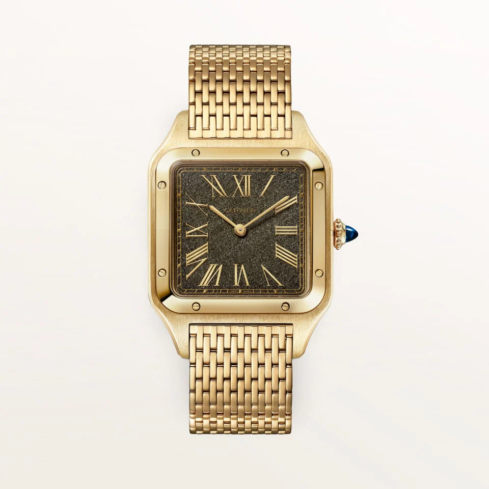 Cartier Santos Dumont wgsa0123 Manual Winding 43.5mm Unisex Watch