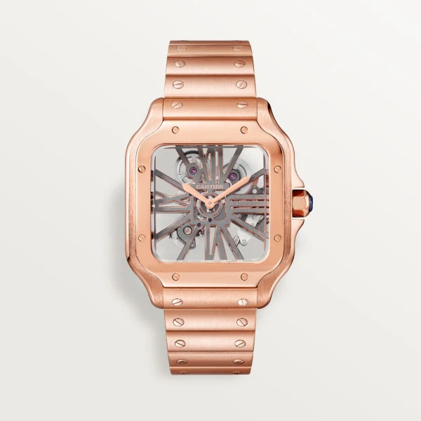 Cartier Santos de Cartier watch whsa0016