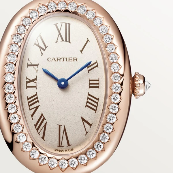Cartier Santos de Cartier Skeleton watch whsa0032 - Image 2