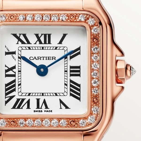 Cartier Panth RE DE Small Model SM wjpn0069 - Image 3