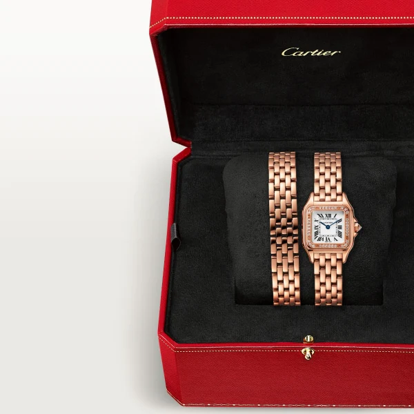 Cartier Panth RE DE Small Model SM wjpn0069 - Image 4