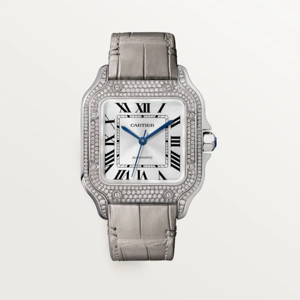Cartier Santos de Cartier watch wjsa0014