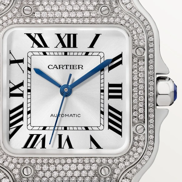 Cartier Santos de Cartier watch wjsa0014 - Image 3