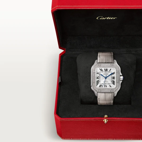 Cartier Santos de Cartier watch wjsa0014 - Image 4