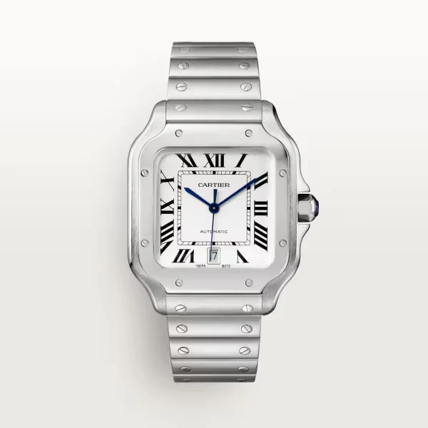 Cartier Santos de Cartier watch wssa0018