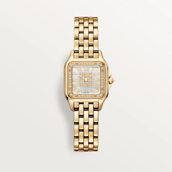 Cartier Santos de Cartier watch wssa0046
