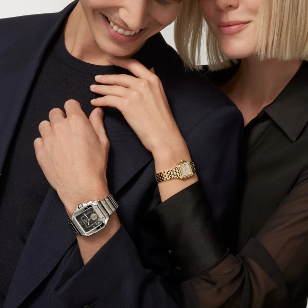 Cartier Santos de Cartier watch wssa0046 - Image 10