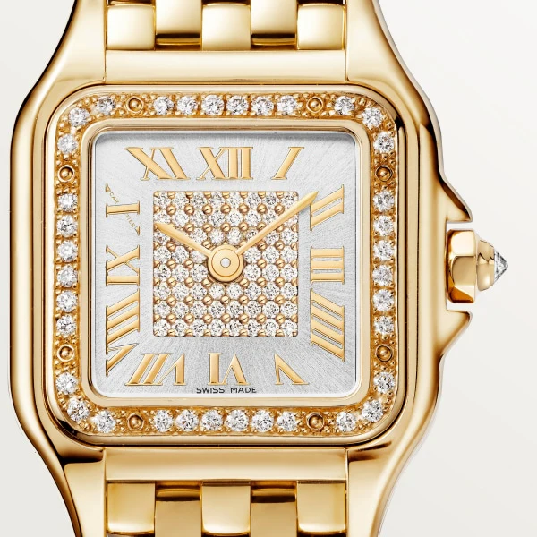 Cartier Santos de Cartier watch wssa0046 - Image 5