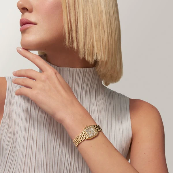 Cartier Santos de Cartier watch wssa0046 - Image 8