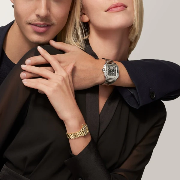 Cartier Santos de Cartier watch wssa0046 - Image 9