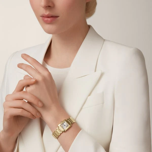 Cartier Santos de Cartier watch wssa0061 - Image 9