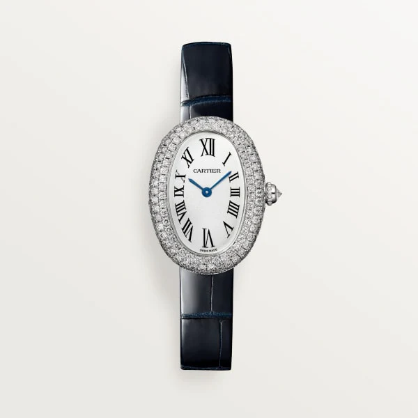 Cartier Santos de Cartier watch wssa0062