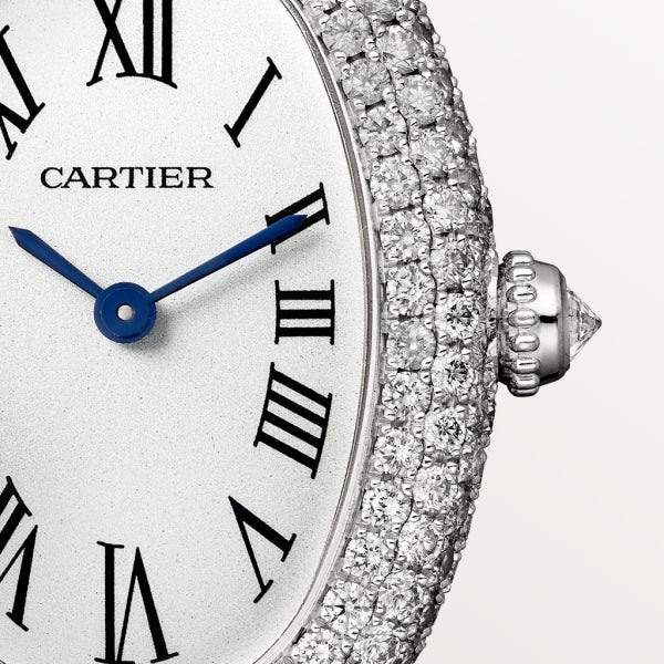 Cartier Santos de Cartier watch wssa0062 - Image 4