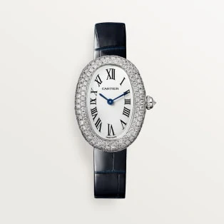 Cartier Santos de Cartier watch wssa0062 - Image 7