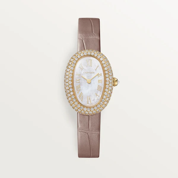 Cartier Santos de Cartier watch wssa0063