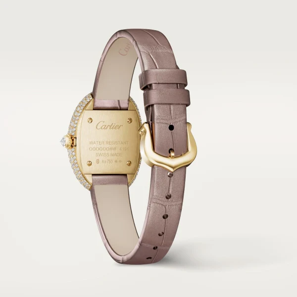 Cartier Santos de Cartier watch wssa0063 - Image 2