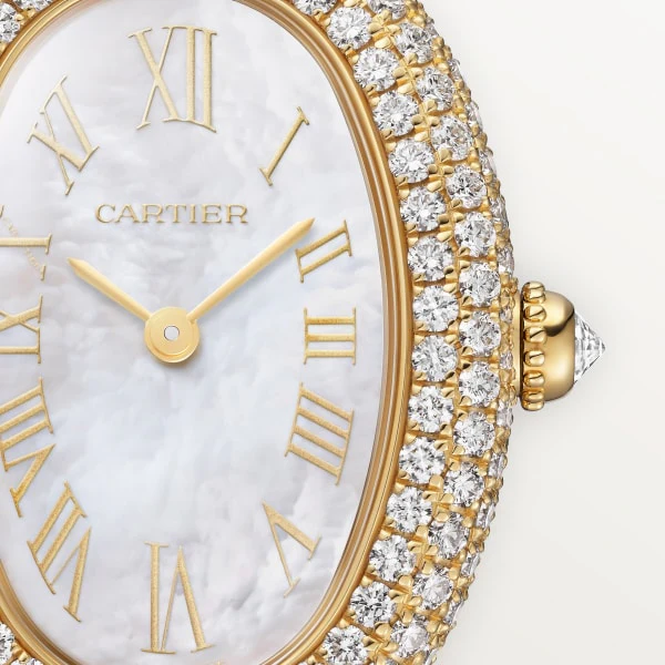 Cartier Santos de Cartier watch wssa0063 - Image 5