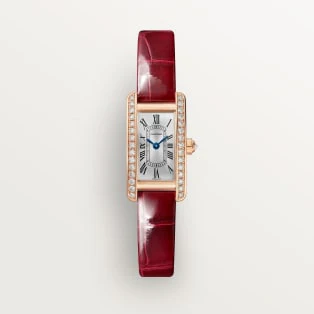 Cartier Santos de Cartier watch wssa0064 - Image 5