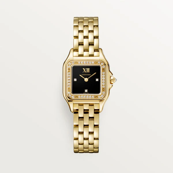 Cartier Santos de Cartier watch wssa0071