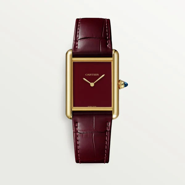 Cartier Santos de Cartier watch wssa0076
