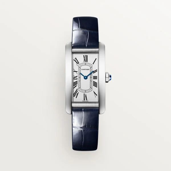 Cartier Santos de Cartier watch wssa0082
