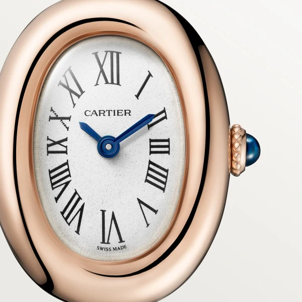 Cartier Santos de Cartier watch wssa0086 - Image 3