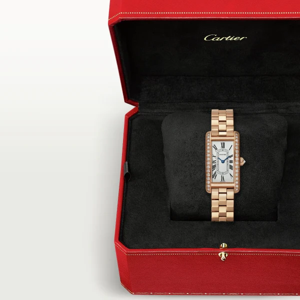Cartier Tank American watch wsta0083 Watch Japan Official - Image 3