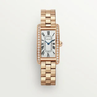 Cartier Tank American watch wsta0083 Watch Japan Official - Image 5