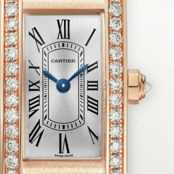 Cartier Tank Francaise watch wsta0105 Watch Japan Official - Image 2
