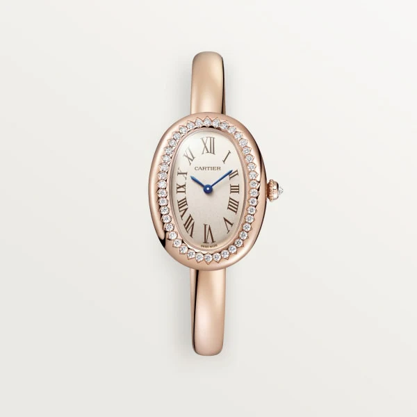 Cartier Tank Must de Cartier watch wsta0106