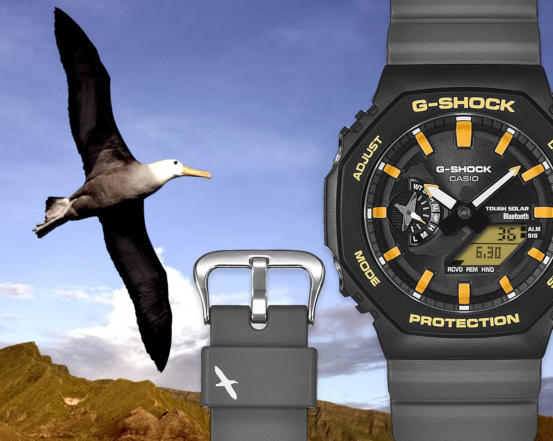Casio G-shock GA-B2100DF-1AJR Charles Darwin Foundation ANALOG-DIGITAL solar bluetooth 2025.11.14 release - Image 6