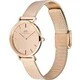 Daniel Wellington DW00100795 Elegant Petite Reflection Rose Gold Minimalist Design 2-Year Warranty Timeless Style - Image 2