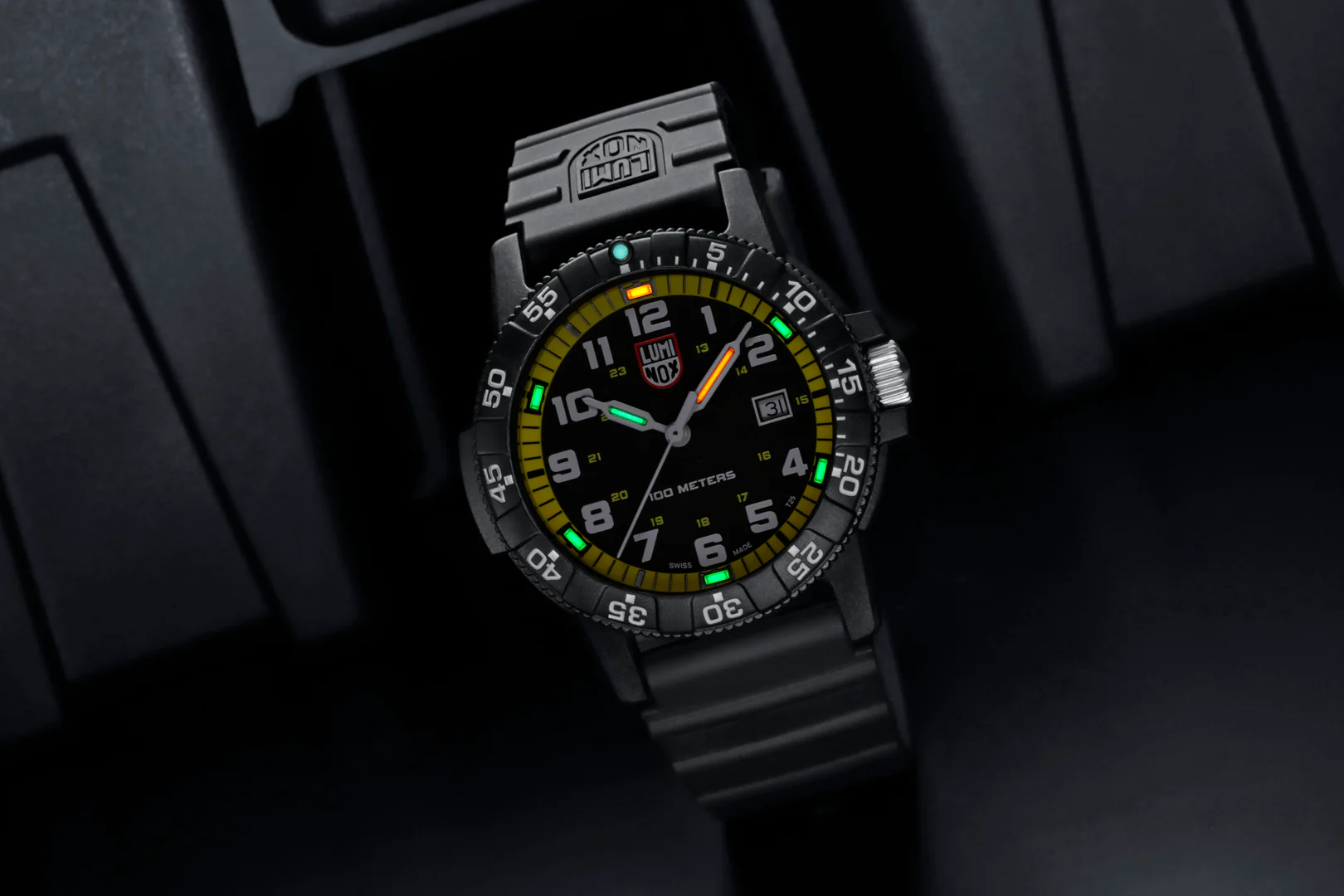 Luminox Leatherback Sea Turtle Giant 0320 Series Ref. 0325 - Image 6