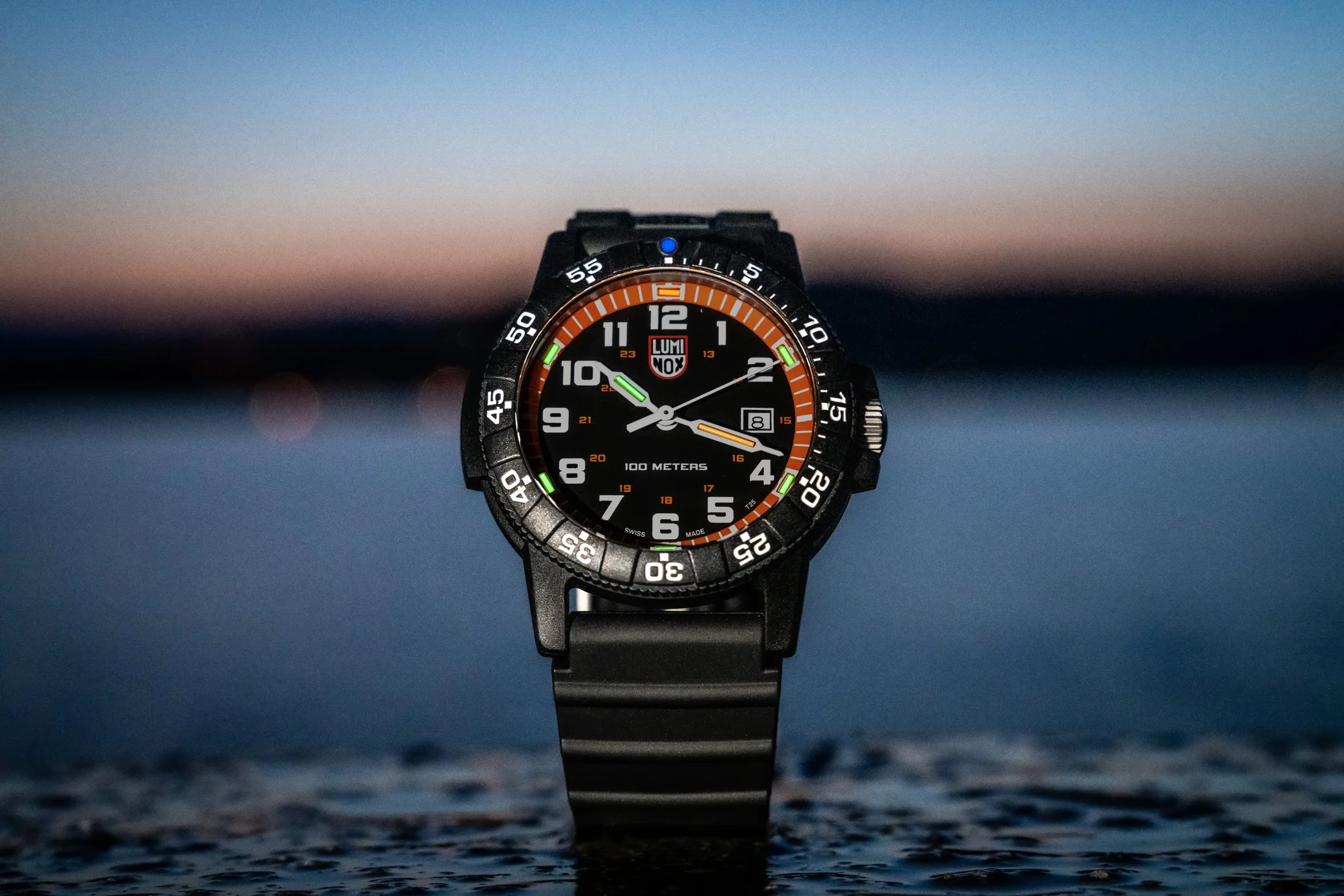 Luminox Leatherback Sea Turtle Giant 0320 Series Ref. 0329.1 - Image 6